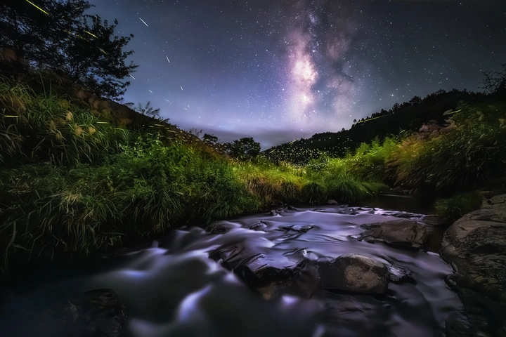 星下流萤