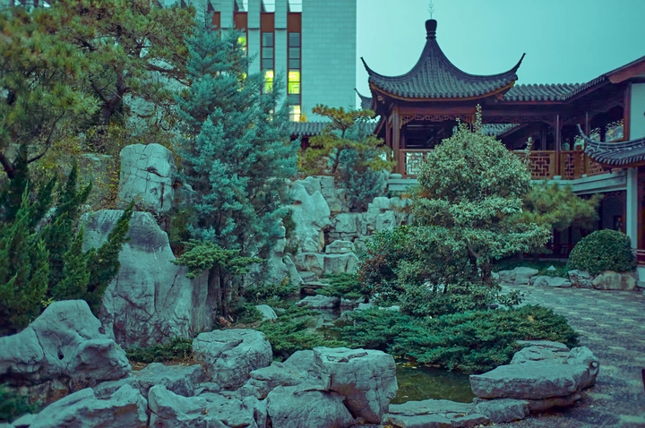 色彩制衡的冬日城市园林