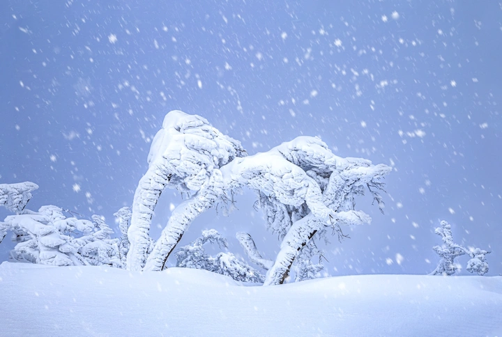 雪挂