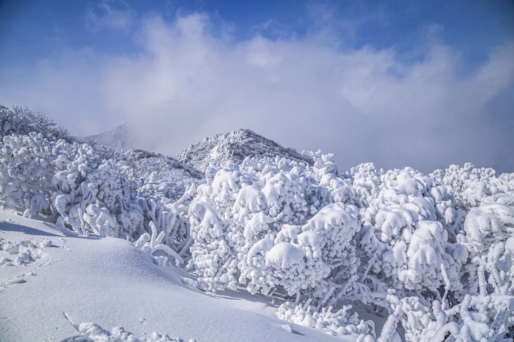 冰雪世界