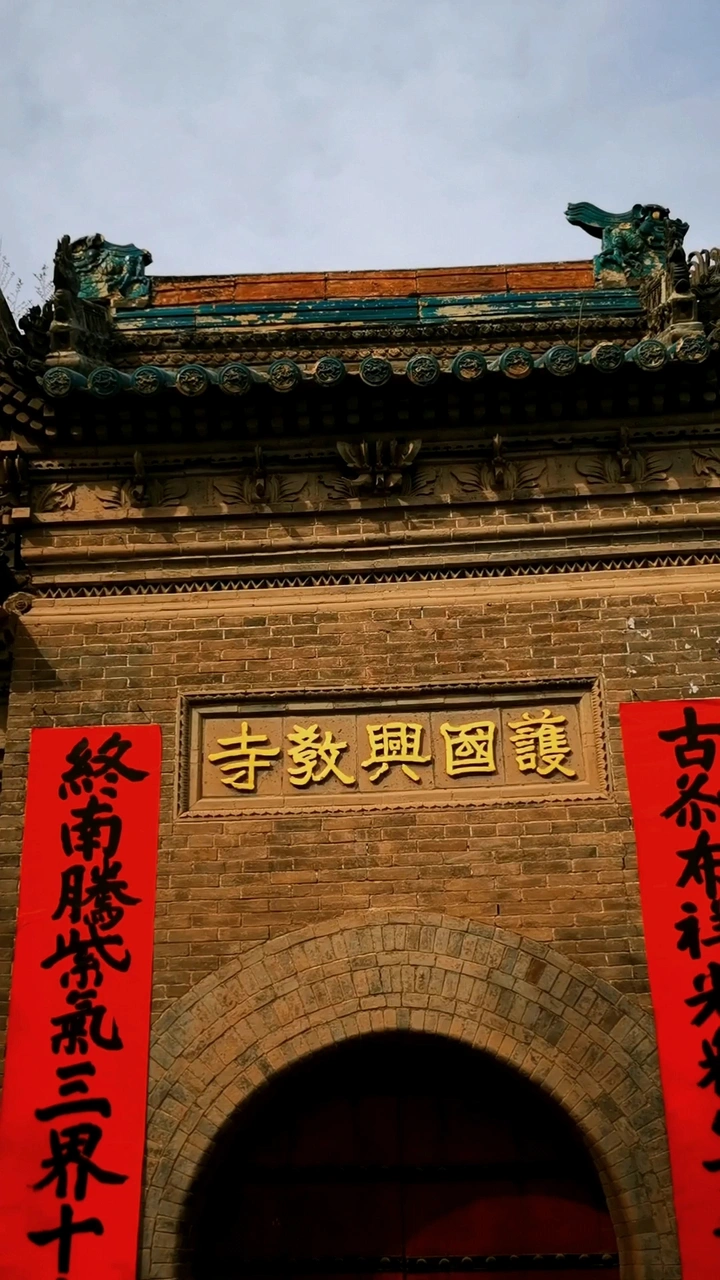 护国兴教寺玉兰花盛开啦