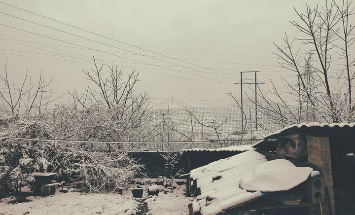 雪
