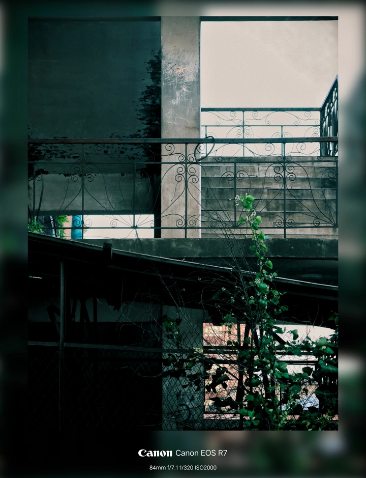 镜头下的世界，静谧而深邃。