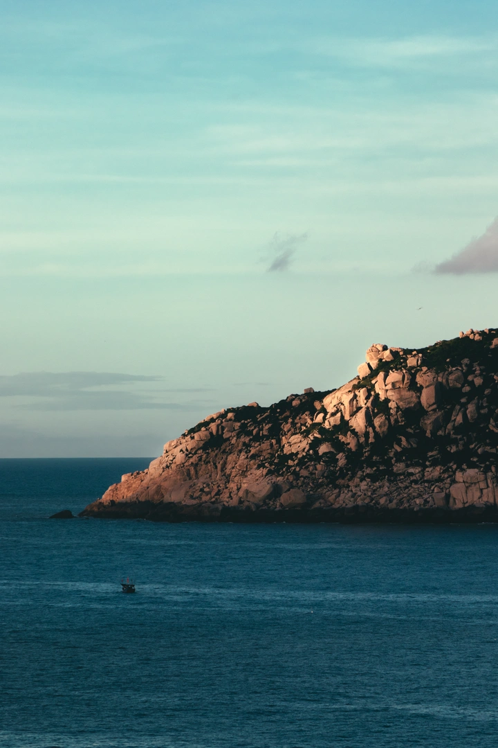 海