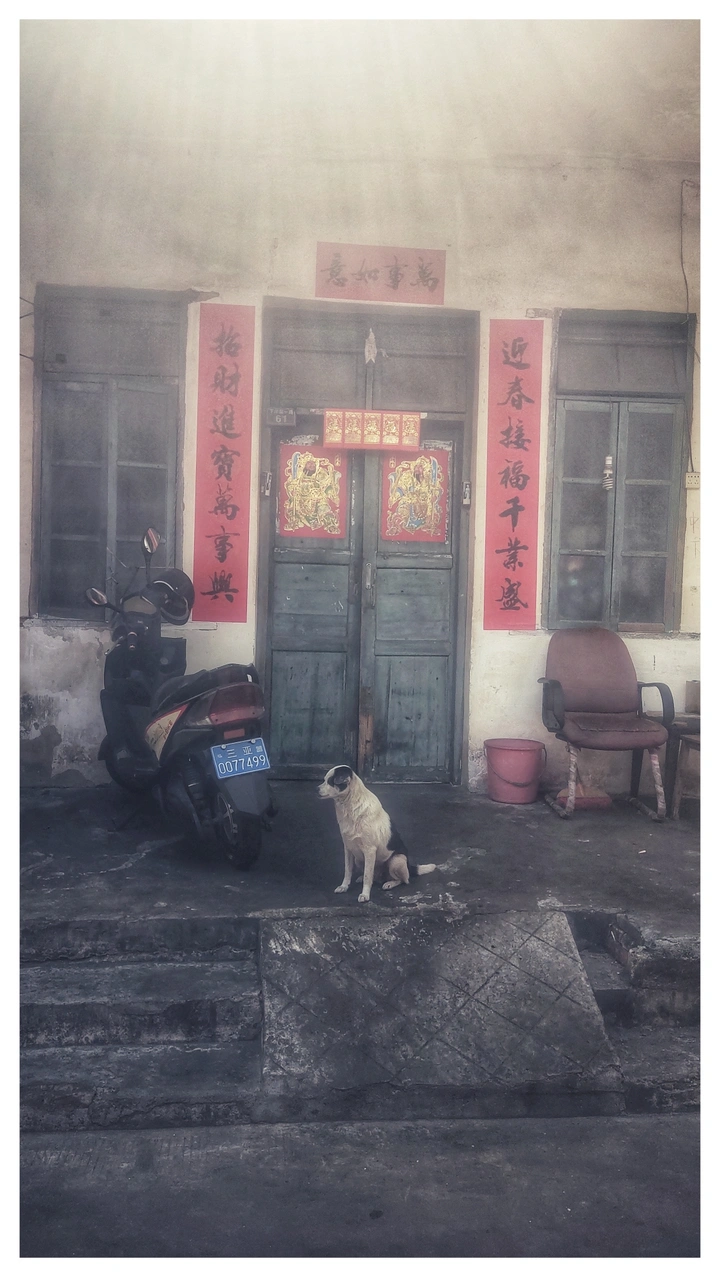 疫情下的巷子