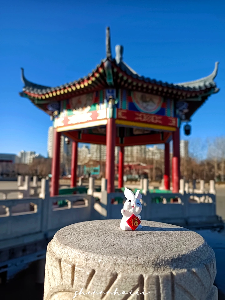 兔年快乐