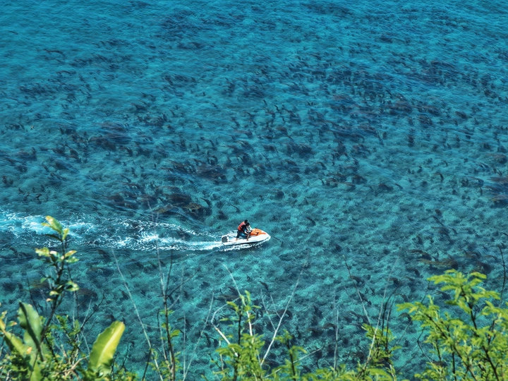 涠洲岛初夏的色彩