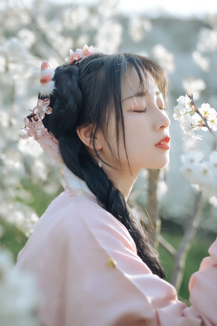 风起花吹雪