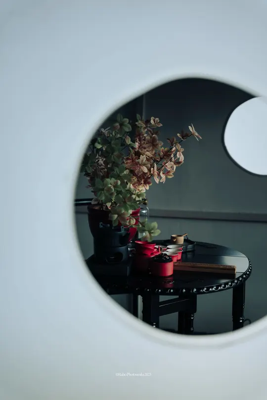 一个白色的房间里有一个圆形镜子的反射 墙上有一个圆形孔洞 里面插着一盆植物
