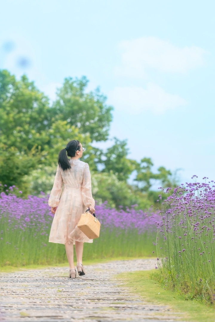 紫色的夏天