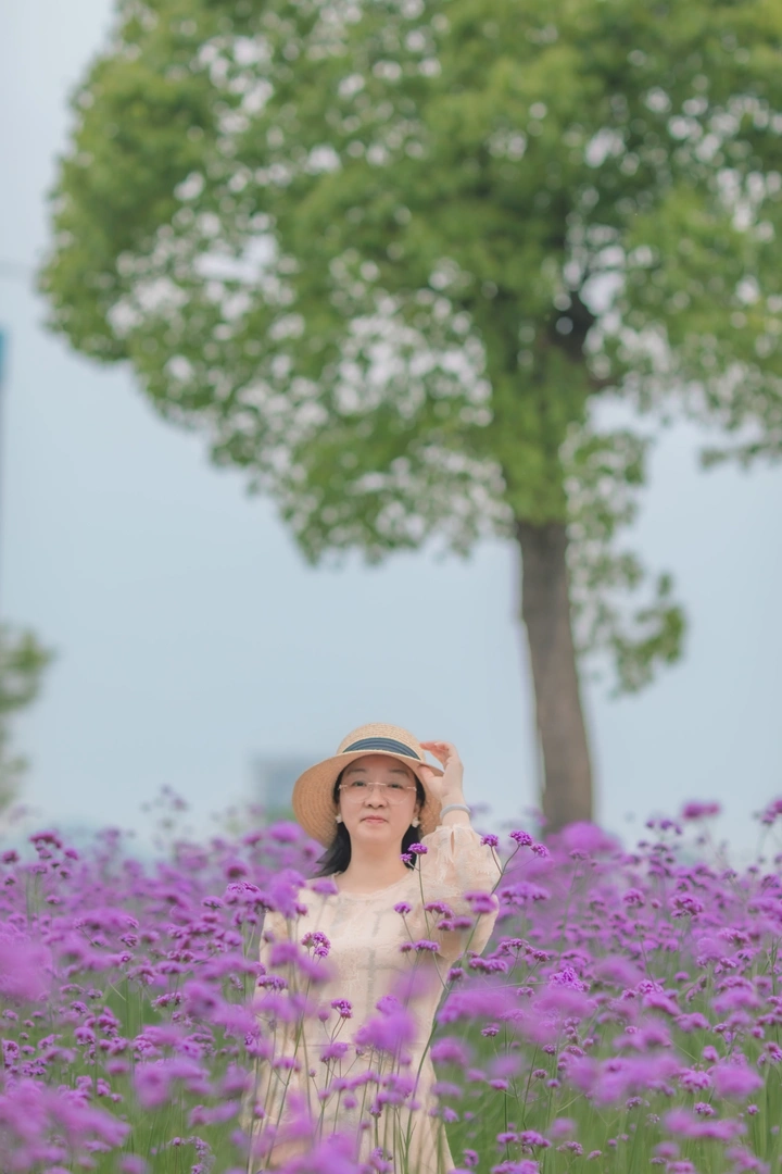 紫色的夏天