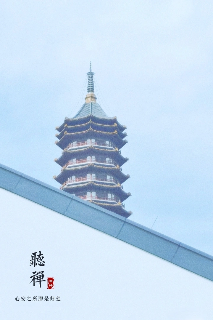 印象普陀