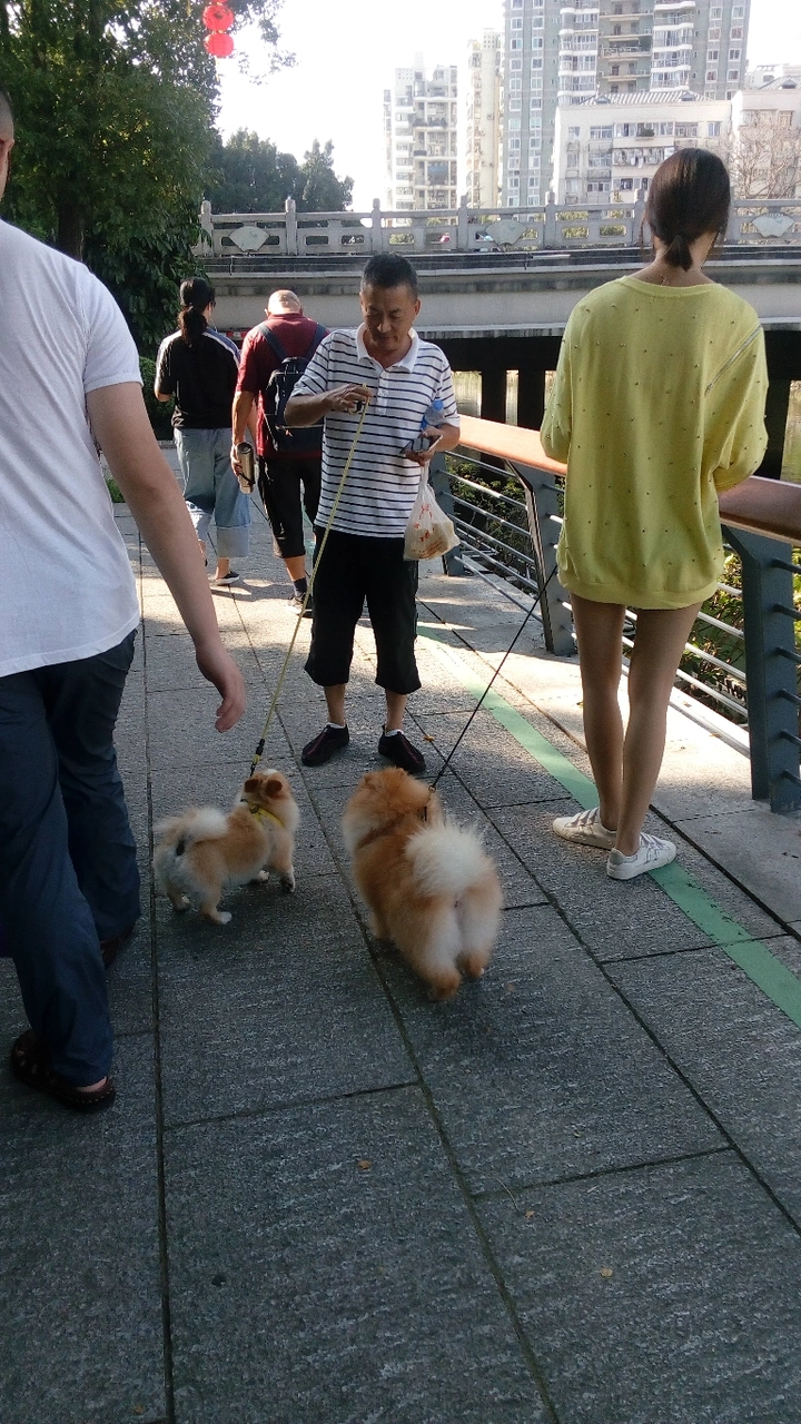 遛狗