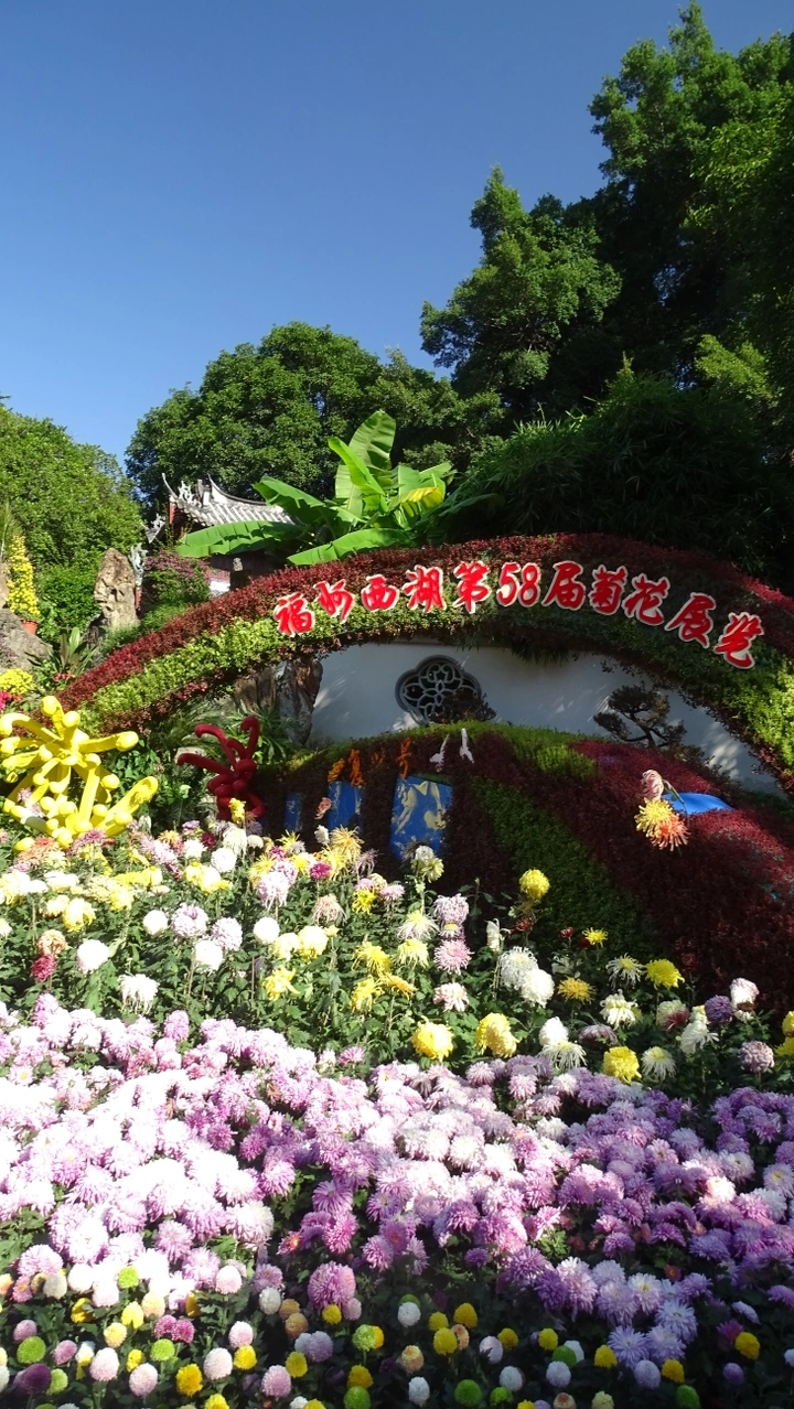 58届菊花展