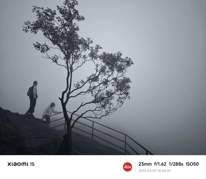迷雾深林——厦门仙灵旗山