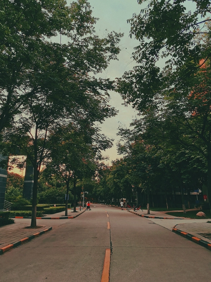 日常