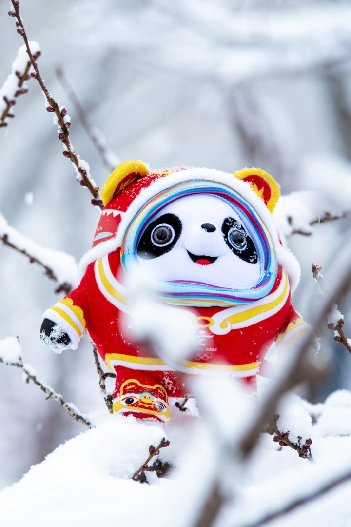 一只在雪中的冰墩墩