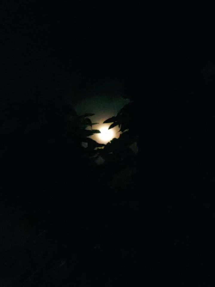 月下