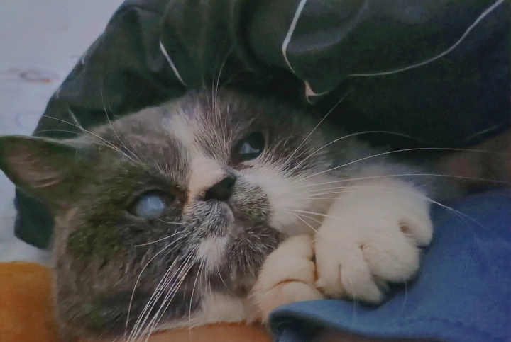 生活