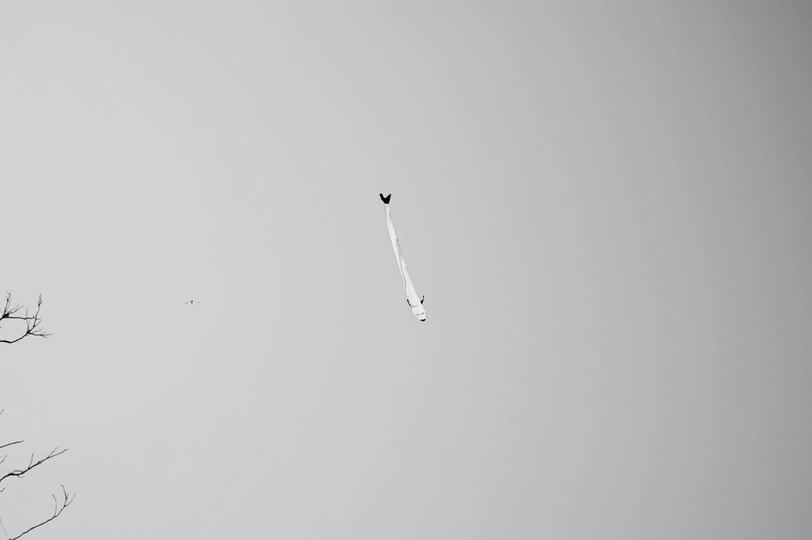 在天空中飞翔的黑白风筝