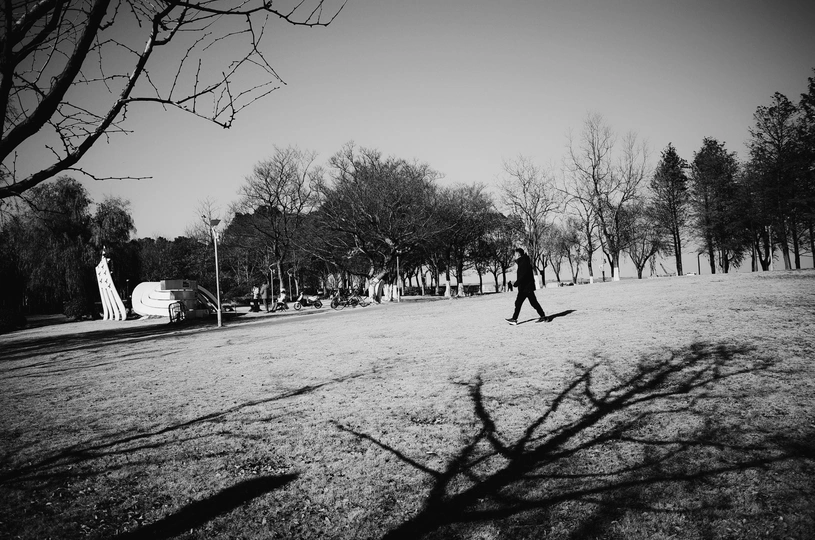 一个男人在公园里散步的黑白照片