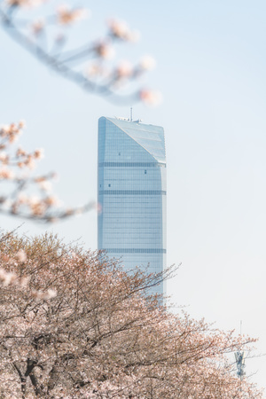 这是一座高耸入云的摩天大楼 楼前有树木 前景有鲜花。