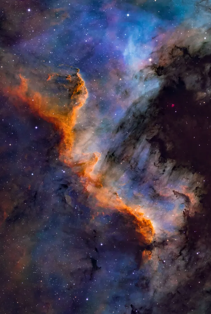 Cygnus Wall