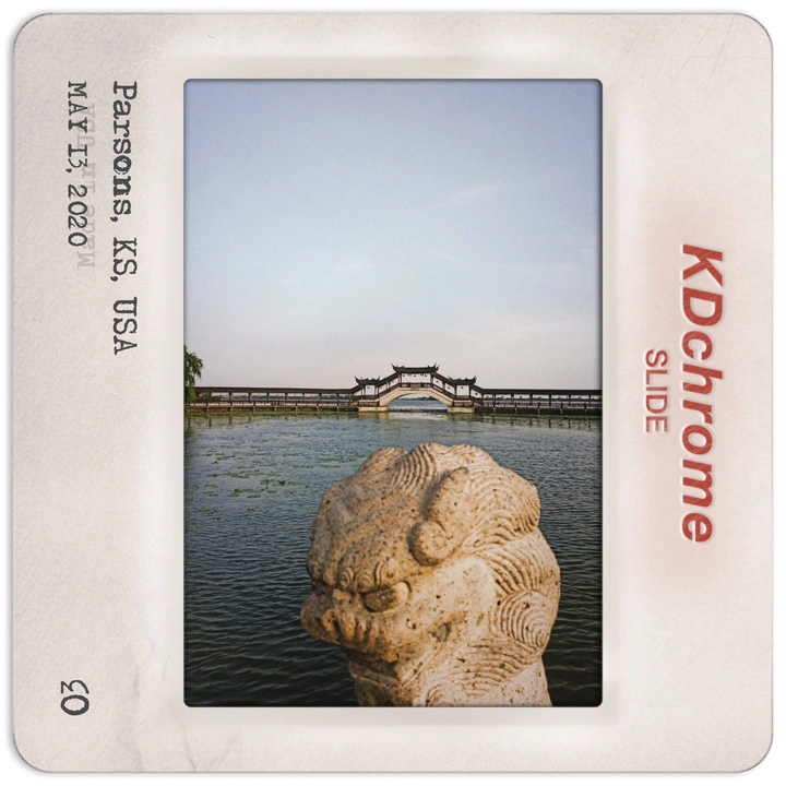 景，狗，花，鸟，自行车