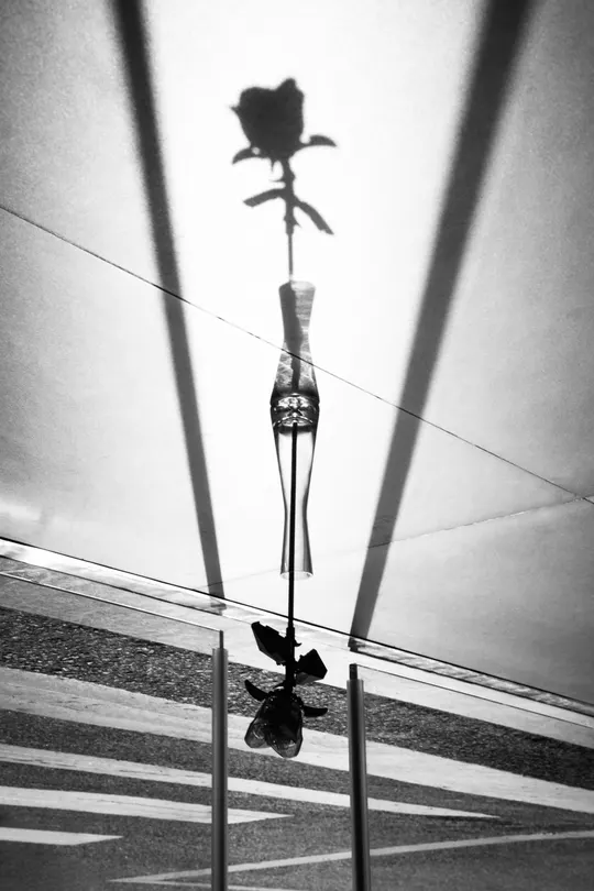 一朵玫瑰花 坐在形状像玻璃瓶子里。