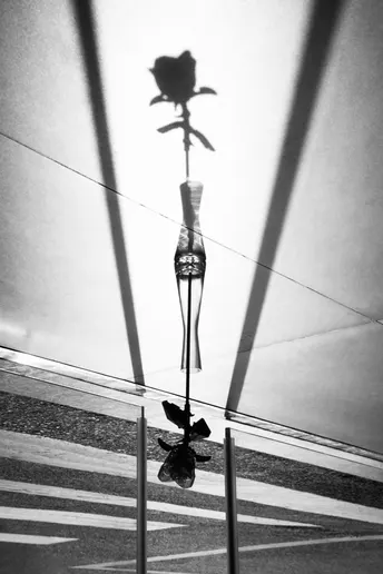 一朵玫瑰花 坐在形状像玻璃瓶子里。