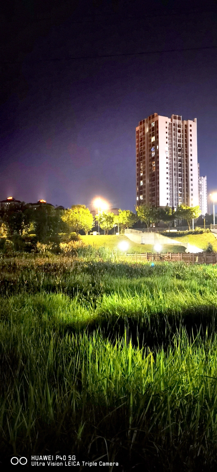 你我相逢在初秋的夕阳里，你晶亮