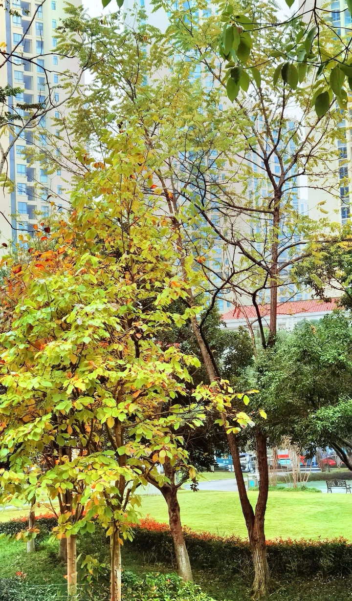 天寒地冻的季节