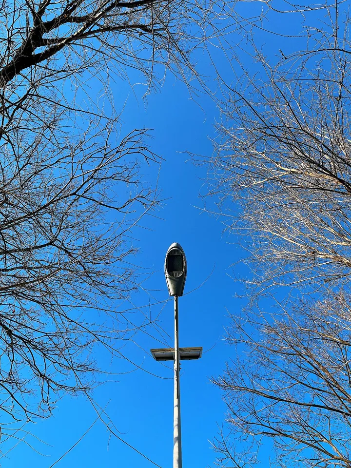 即将到来的春天