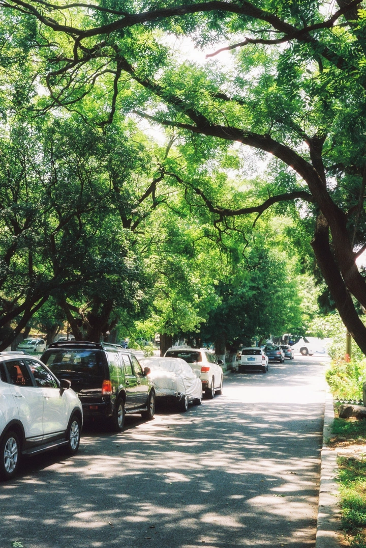 胶片下的旅顺口