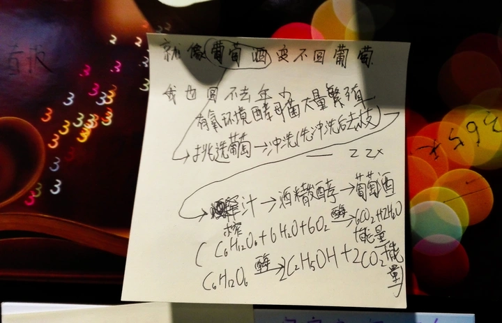 学霸的世界你不懂