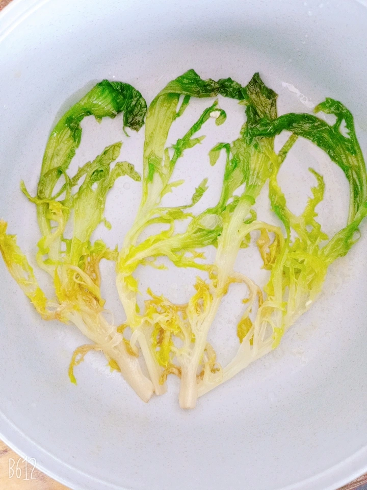 文艺的苦菊儿