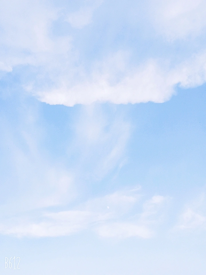 天空cp