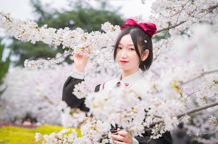 2021武大樱花太美了！