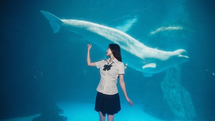 海洋世界