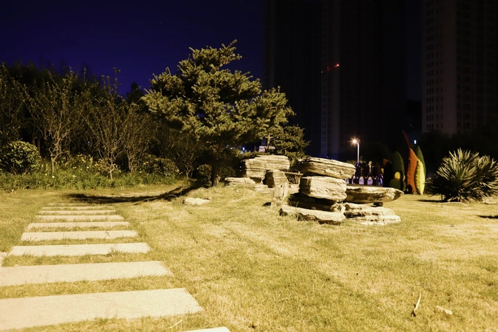 2020.06.10 晚间随拍