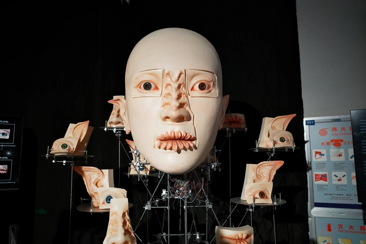 国美毕业展