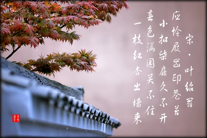 一枝红杏出墙来