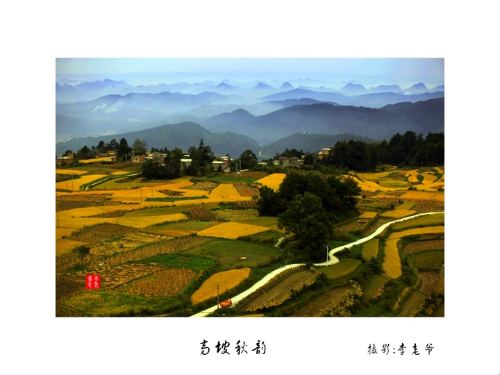 高坡秋韵