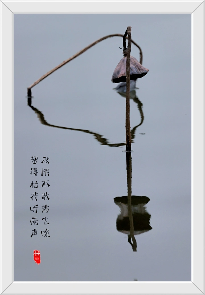 残荷