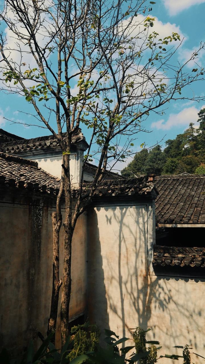 婺源
