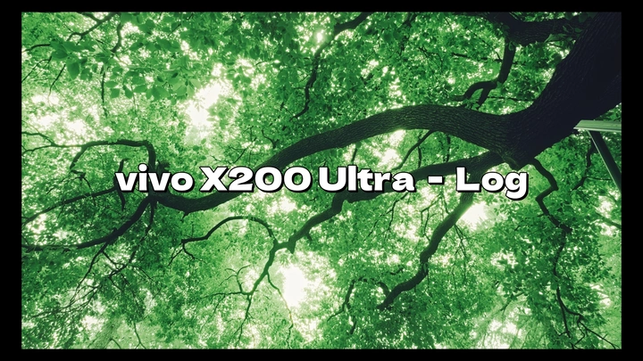 Green | vivo-Log