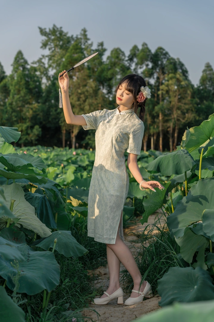 荷塘倩影