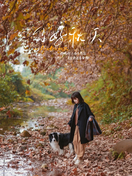 女孩在森林里遛狗