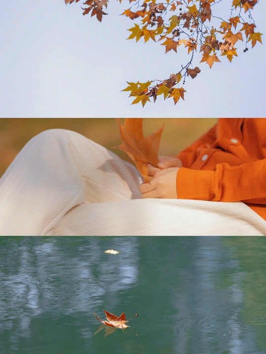 一个人、一个女孩和秋天的湖中的叶子的一张图片
