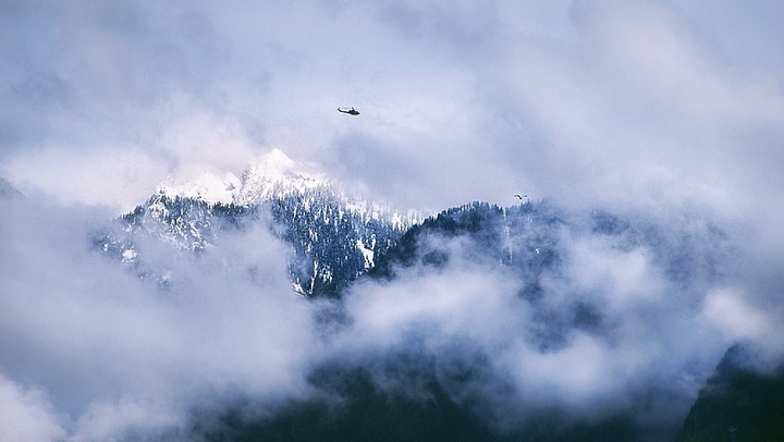 雪山雄鹰
